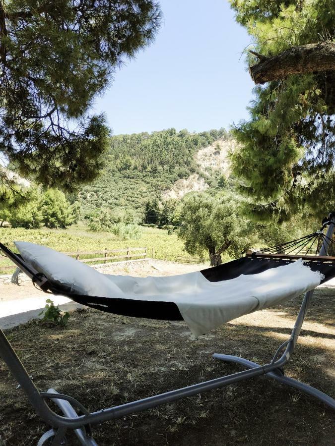 Villa Conifera Zakynthos Town Luaran gambar